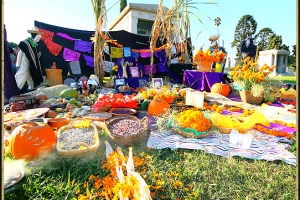 Previous Day of the Dead festivals
