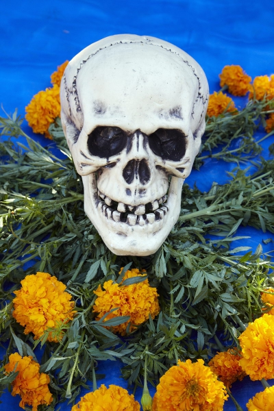 Scull surrounded by marigolds at Day of the Dead (Dia de los Muertos) at Hollywood Forever Cemetery