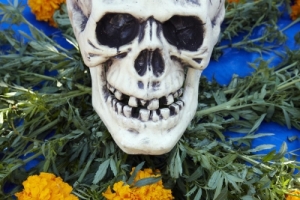 Scull surrounded by marigolds at Day of the Dead (Dia de los Muertos) at Hollywood Forever Cemetery