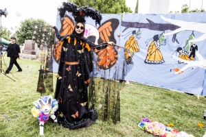 DDLM Saturday 169