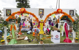 DDLM Saturday 71