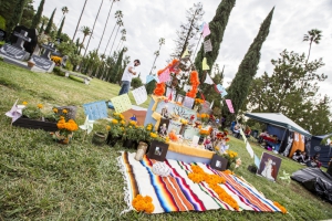 DDLM Saturday 235